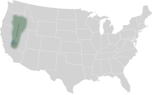 Northern Paiute language